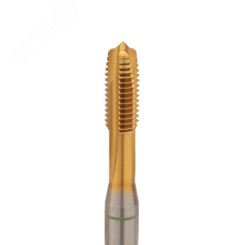 Миниатюра 2