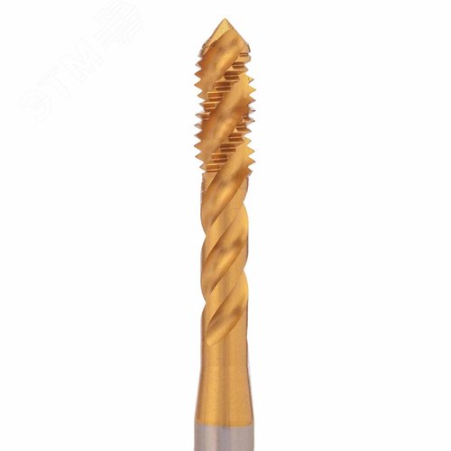 Миниатюра 2