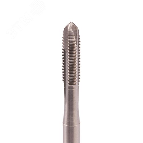 Миниатюра 2
