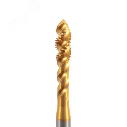Миниатюра 2