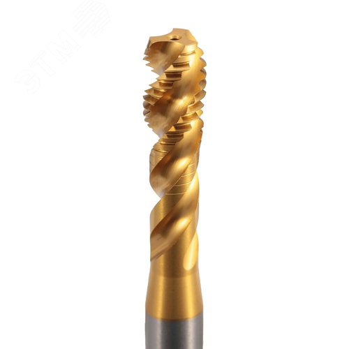 Миниатюра 2