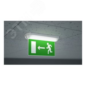 Миниатюра 3