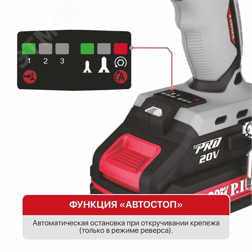Миниатюра 7