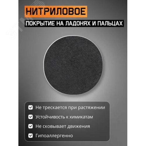 Миниатюра 4