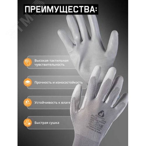 Миниатюра 4