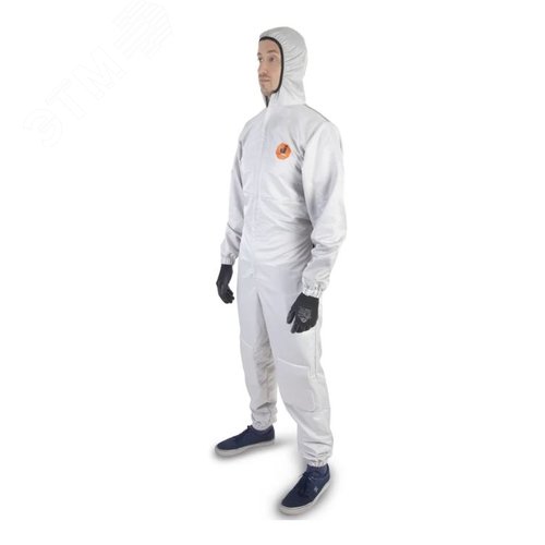 Миниатюра 8