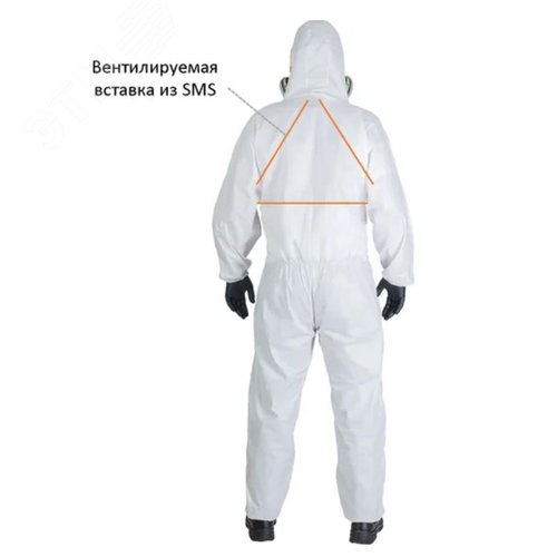 Миниатюра 6