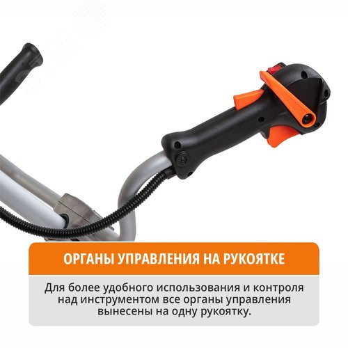 Миниатюра 8