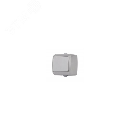 Переключатель Intro Atlantic 5-103-03 10А-250В, IP54, открытой установки, серый