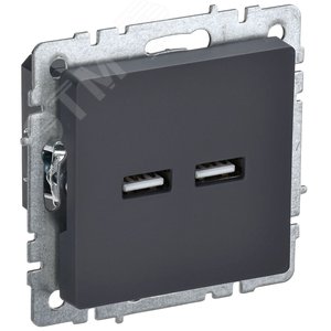 BRITE Розетка USB A+A 3.1А РЮ10-1-БрГ графит
