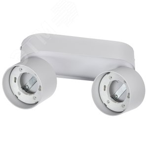 Светильник 4042 настенно-потолочный под лампу 2хGX53 белый