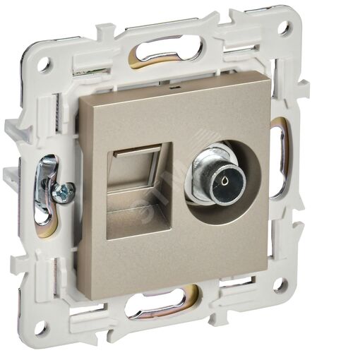 Розетка двойная TV+RJ45 кат.5E SK-A14Sh шампань SKANDY