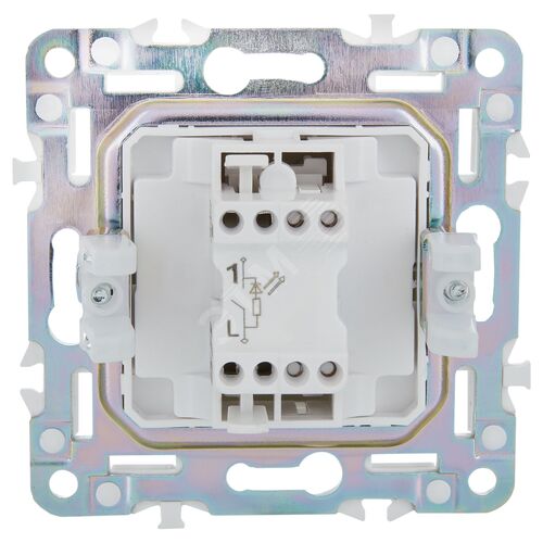 Миниатюра 2