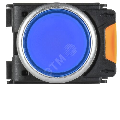 Миниатюра 5