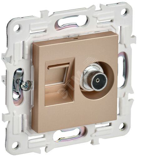 Розетка двойная TV+RJ45 кат.5E SK-A14Sa песочный SKANDY