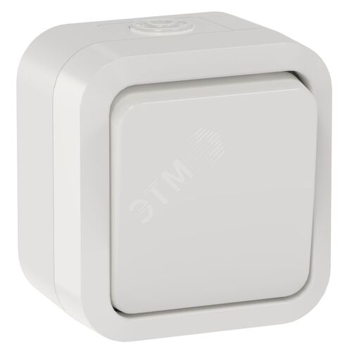 Выключатель двухполюсный одноклавишный 10А IP55 TS311 белый TORS