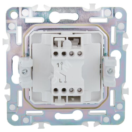 Миниатюра 5