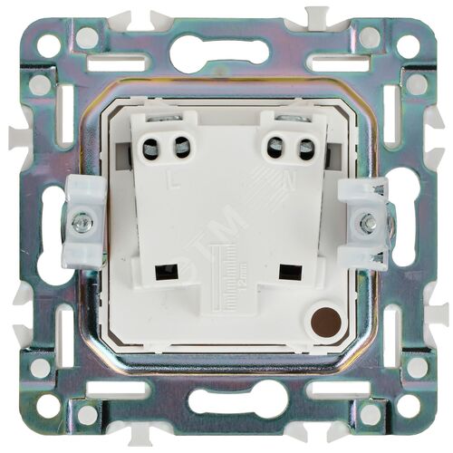 Миниатюра 6