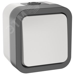Выключатель двухполюсный одноклавишный TORS 10А IP55 белый