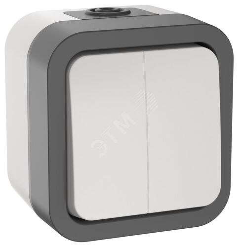 Выключатель двухклавишный TORS 10А IP55 белый