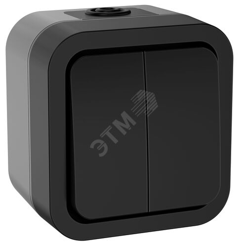 Выключатель двухклавишный TORS 10А IP55 графит