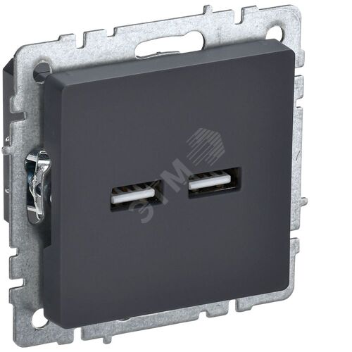 Розетка USB A+A 5В 3,1А РЮ10-1-БрГ графит BRITE