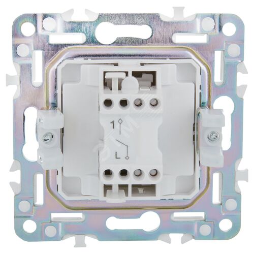 Миниатюра 4