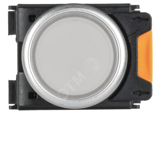Миниатюра 4