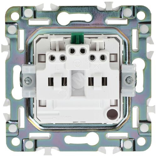 Миниатюра 6