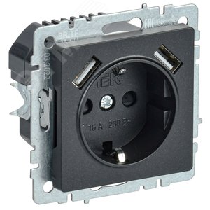 BRITE Розетка с заземлением с защитными шторками 16А с USB A+A 2,1А РЮш10-1-БрЧ черный