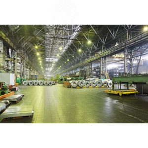 Миниатюра 4