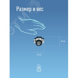 Миниатюра 6