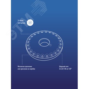 Миниатюра 7