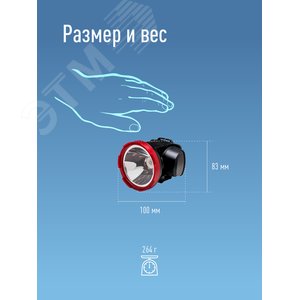 Миниатюра 6