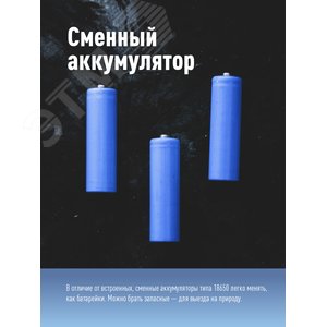 Миниатюра 8