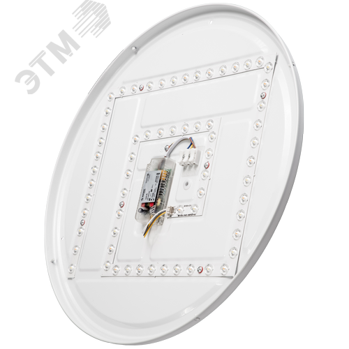Миниатюра 5