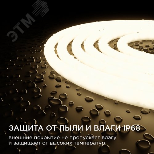 Миниатюра 8