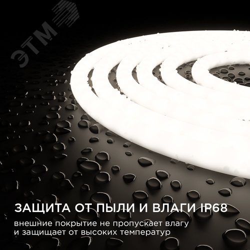 Миниатюра 8