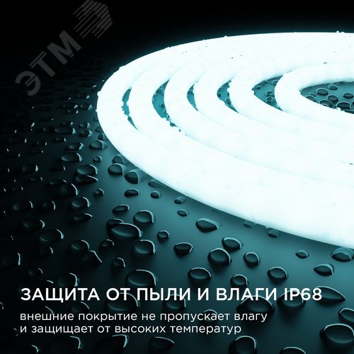 Миниатюра 8