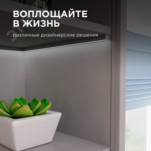 Миниатюра 8