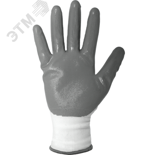 Миниатюра 2
