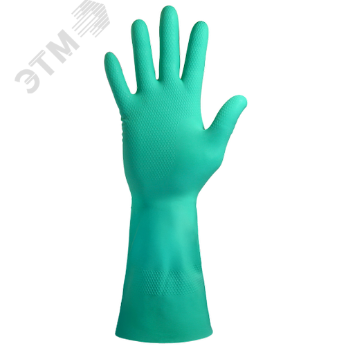 Миниатюра 2