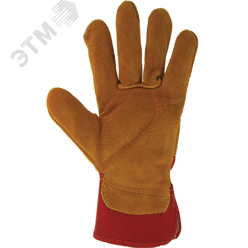 Миниатюра 2