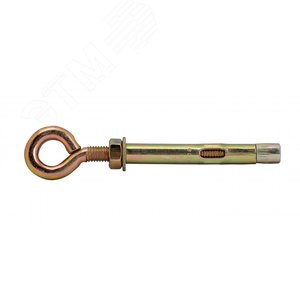 Анкерный болт с кольцом М10 12х100 (1 шт/25 шт/уп)