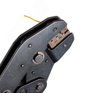Миниатюра 7