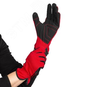 Миниатюра 6