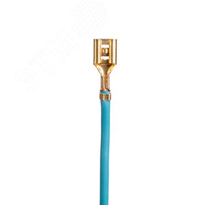 Миниатюра 6