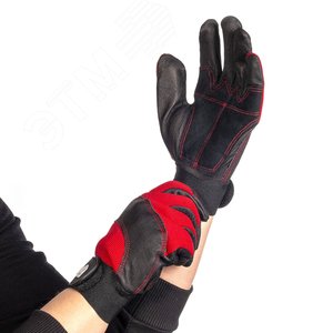 Миниатюра 6
