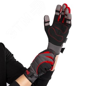 Миниатюра 6