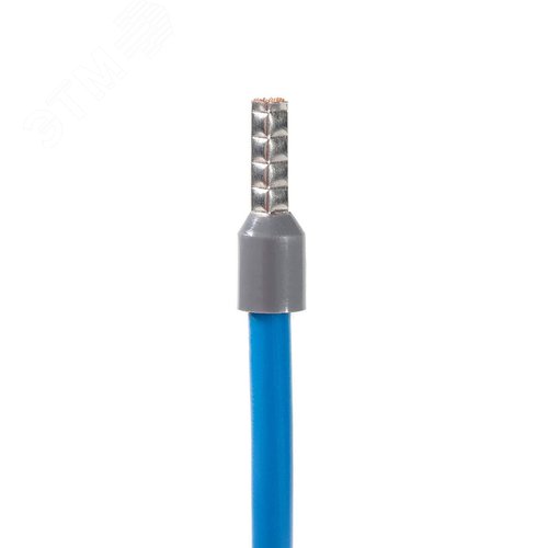Миниатюра 5